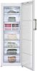 BEKO Diepvrieskast FS127940N online kopen